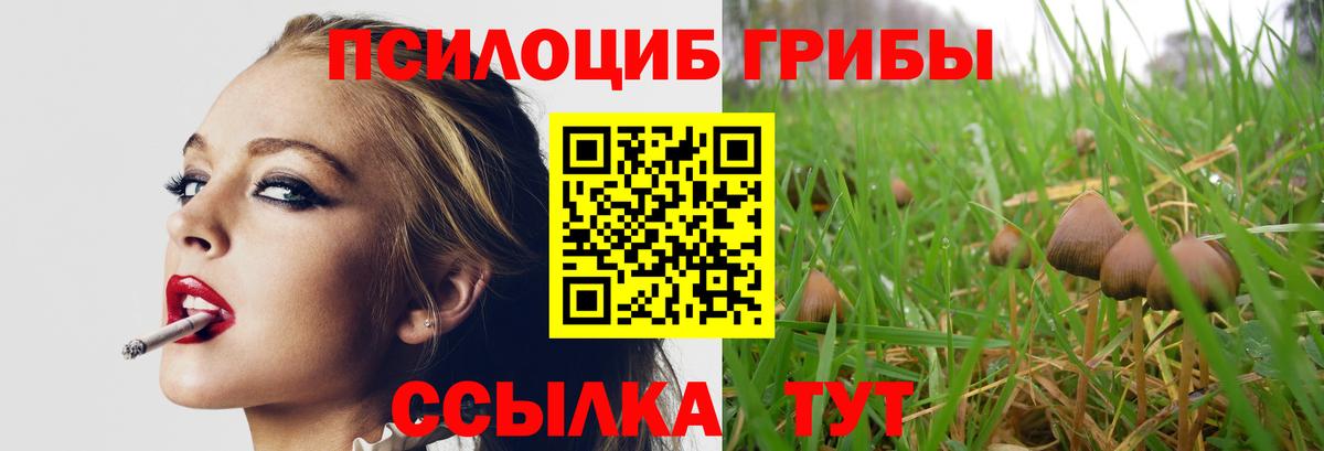 Псилоцибиновые грибы Magic Shrooms  Вход с VPN  Комсомольск-на-Амуре 